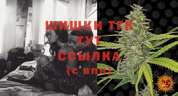 jwh Ельня