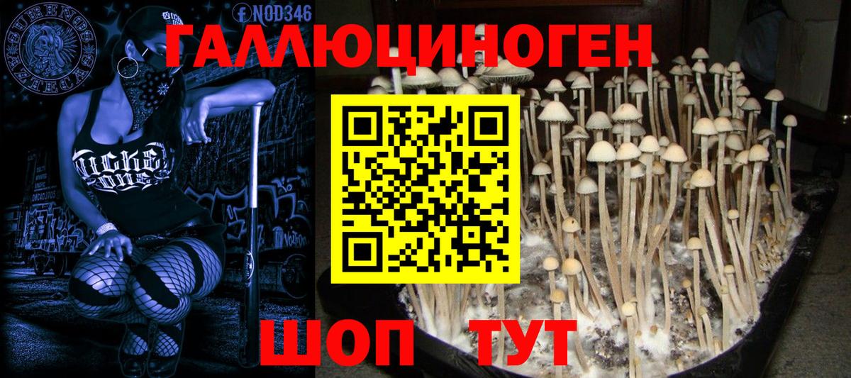 Каннабис Конаково