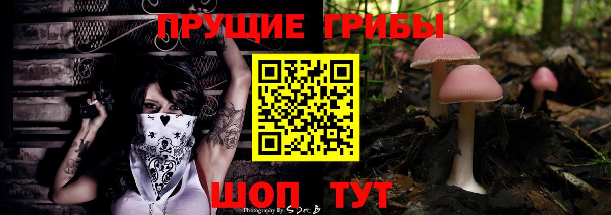 Псилоцибиновые грибы мухоморы  Вход с VPN  Конаково 